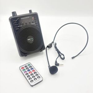 اکو همراه معلمی و لیدری AAPPRO PA-3G-120