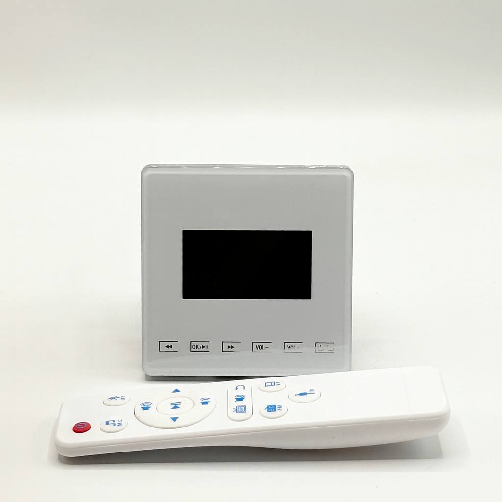 آمپلی فایر دیواری DYNA+ M1