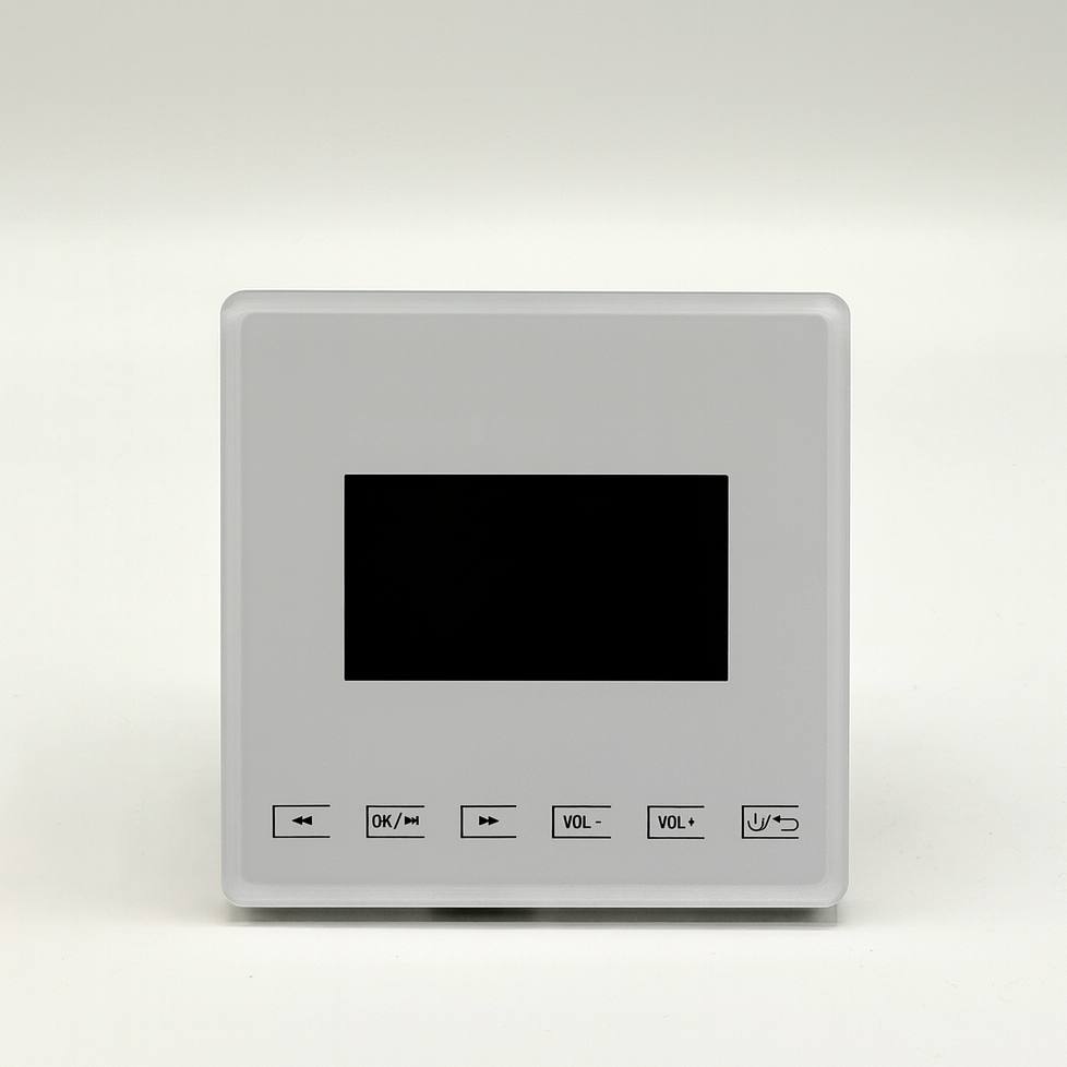 آمپلی فایر دیواری DYNA+ M1